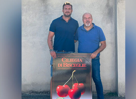 Vincenzo Misino nuovo presidente Consorzio della Ciliegia e Frutta dipica di Bisceglie