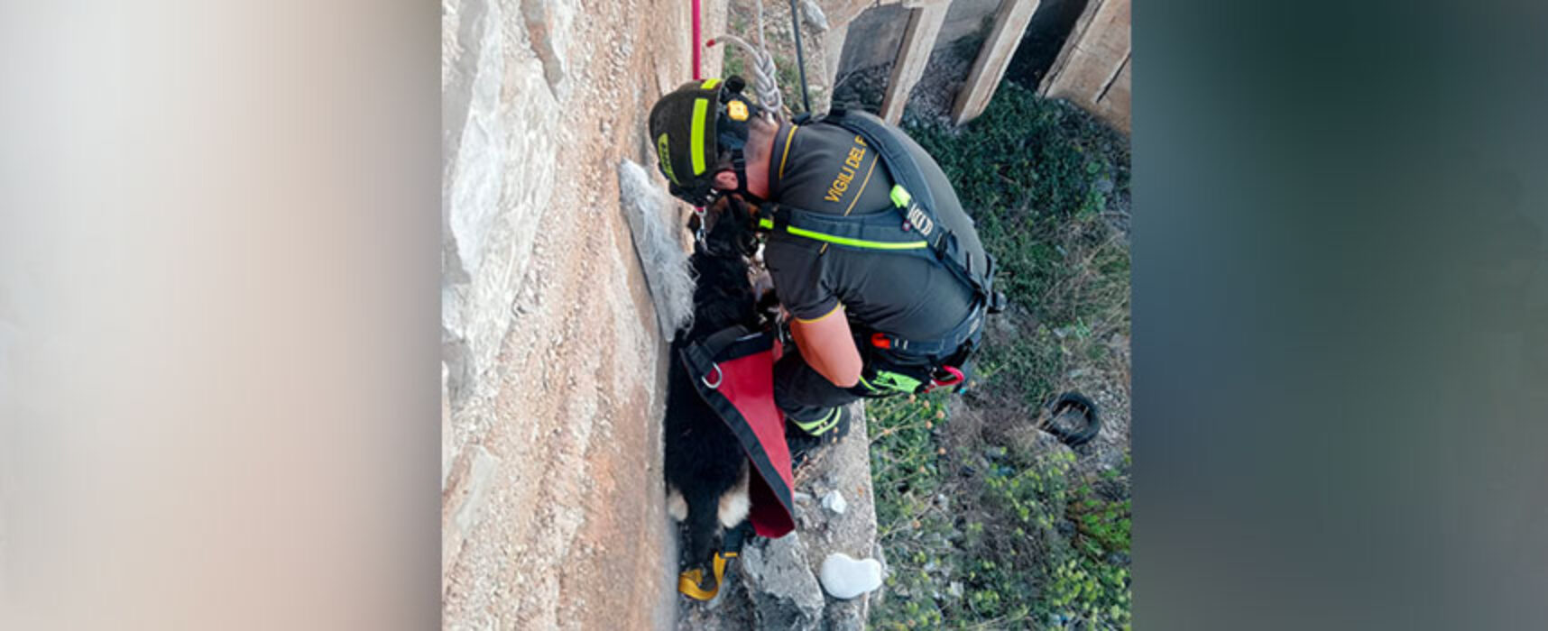 Vigili del Fuoco traggono in salvo cane intrappolato in zona lungomare