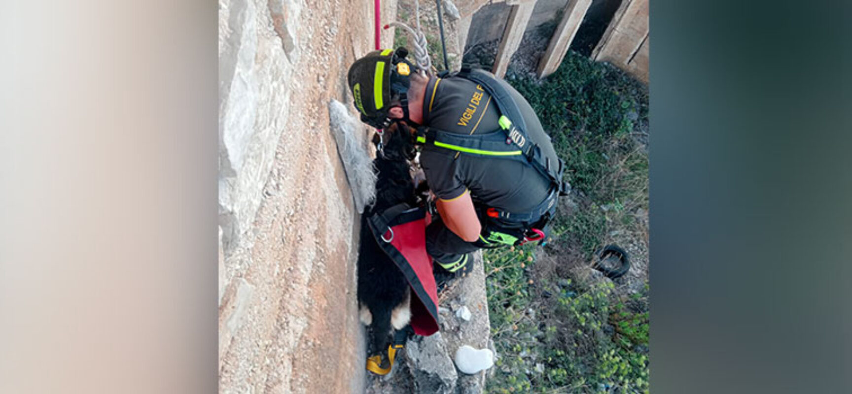 Vigili del Fuoco traggono in salvo cane intrappolato in zona lungomare