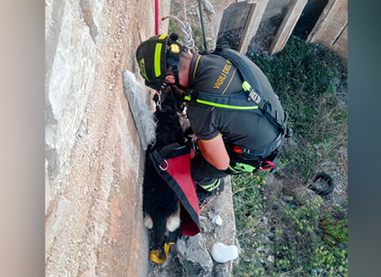 Vigili del Fuoco traggono in salvo cane intrappolato in zona lungomare