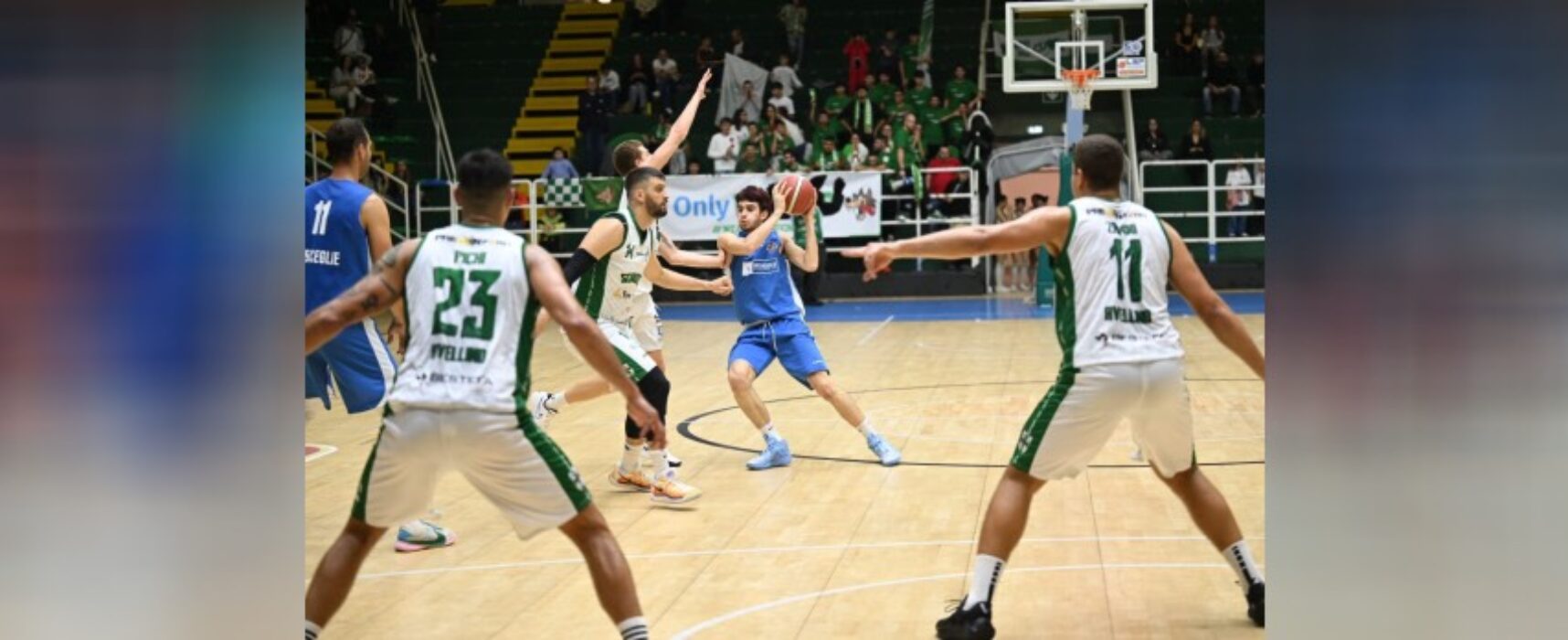 Secondo stop stagionale per i Lions Bisceglie / CLASSIFICA