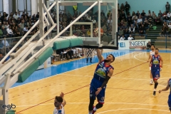 basket12