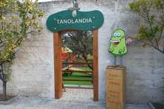 Tanolandia_12